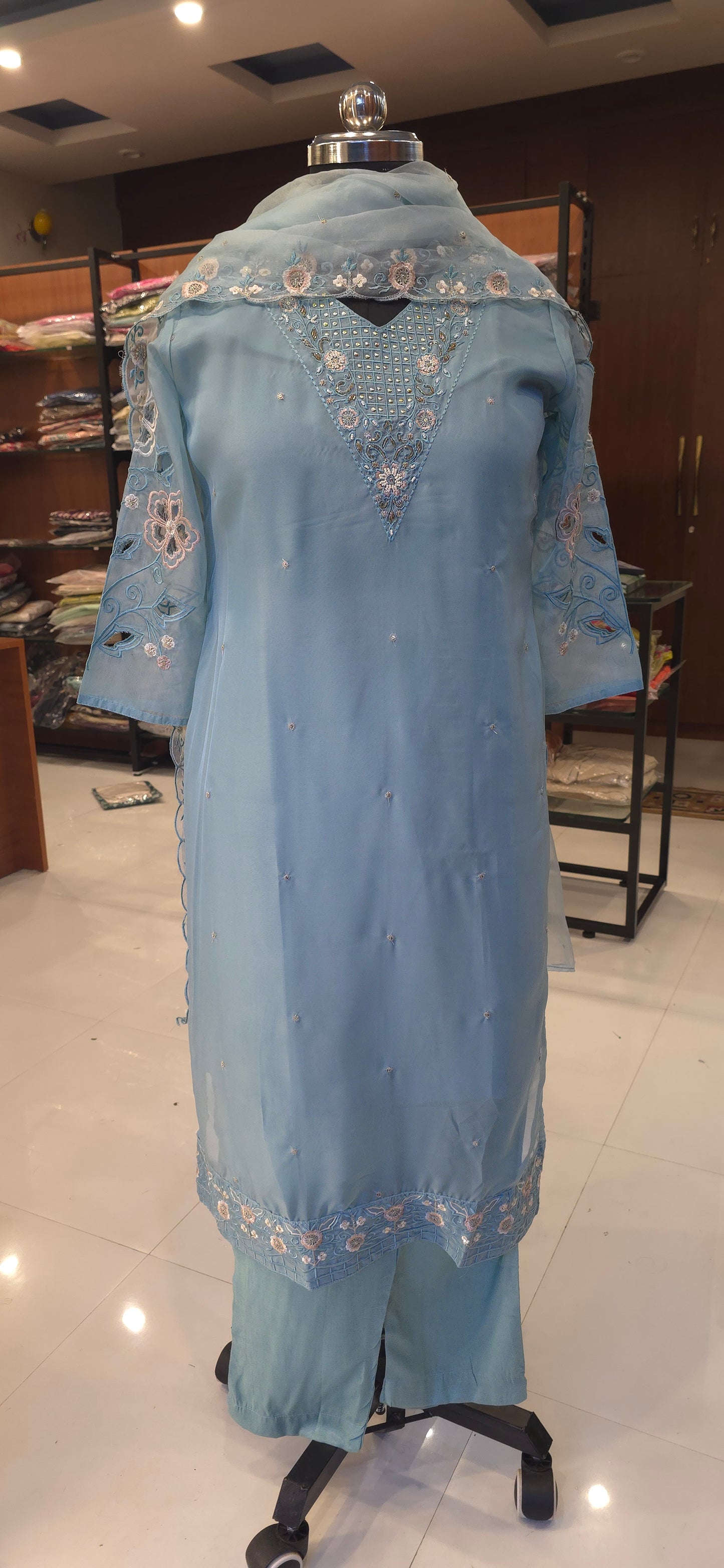 Pastel Blue Organza salwar set