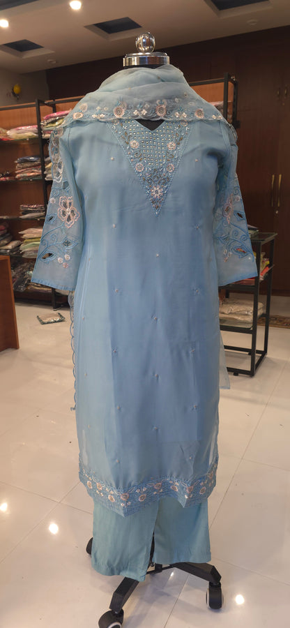 Pastel Blue Organza salwar set