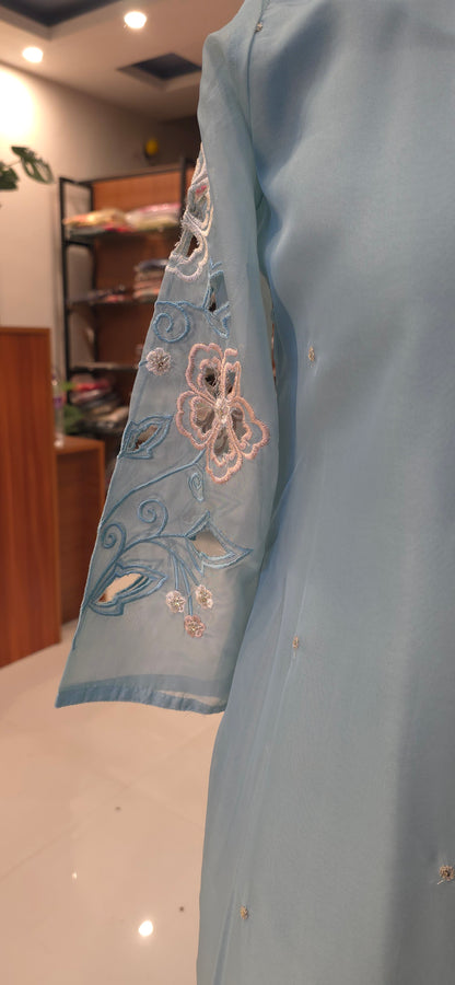 Pastel Blue Organza salwar set